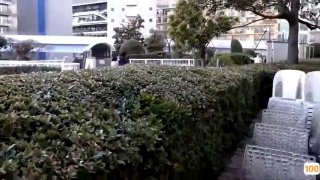 ✿网红女神✿ 最新极品嫩鲍超人气网红女神▌柚子猫▌机械纪元2B极限中出 足交69变成精液采集器 顶宫爆射美少女嫩穴
